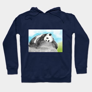 Happy Dreaming Panda Hoodie